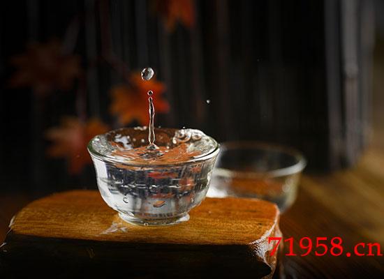青稞酒 青稞酒
